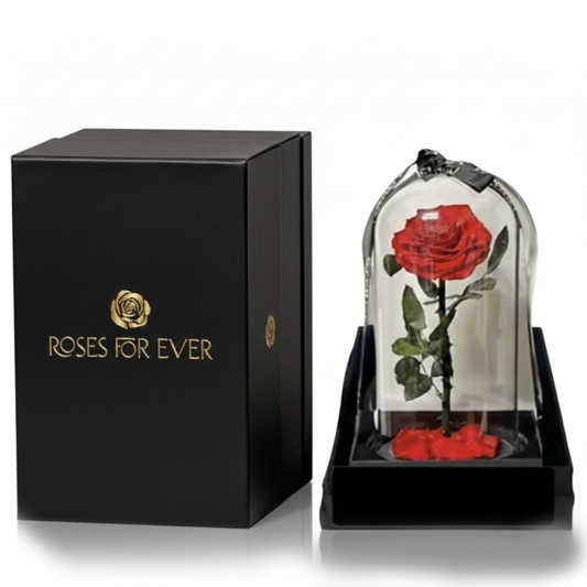 Glass Rose Dome